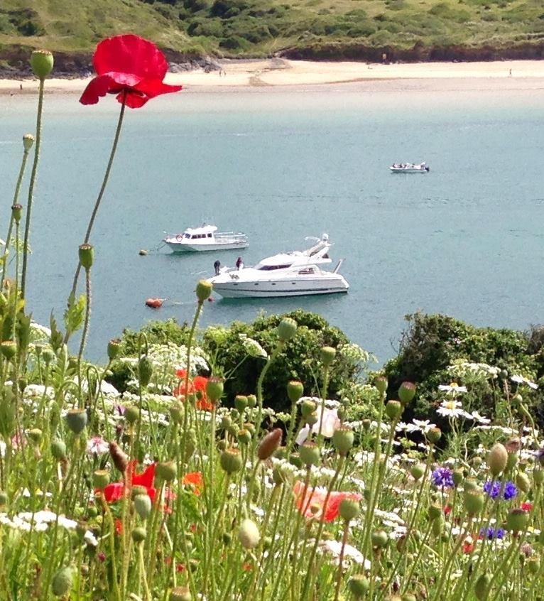 Cyntwell Guest Accommodation Padstow Exterior photo